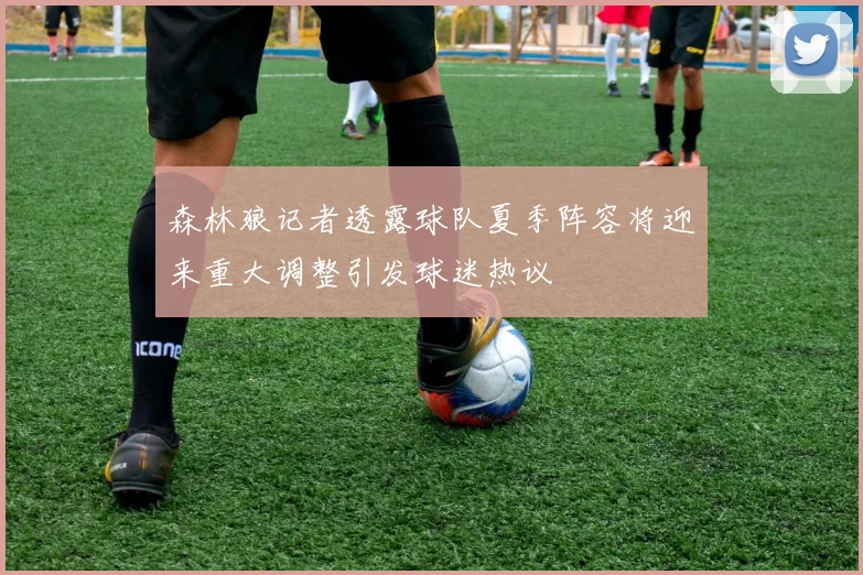 森林狼记者透露球队夏季阵容将迎来重大调整引发球迷热议
