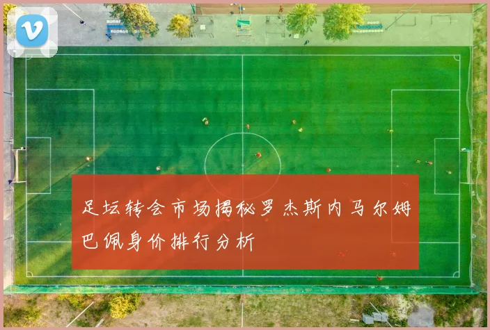 足坛转会市场揭秘罗杰斯内马尔姆巴佩身价排行分析