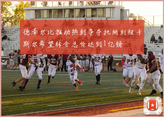 德泽尔比推动热刺争夺托纳利纽卡斯尔希望转会总价达到1亿镑